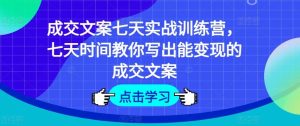 成交文案七天实战训练营,七天时间教你写出能变现的成交文案-聊项目