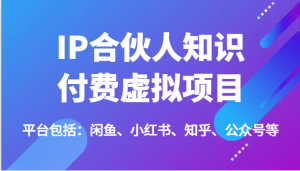 IP合伙人知识付费虚拟项目,包括:闲鱼、小红书、知乎、公众号等(51节)-聊项目