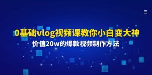 0基础vlog视频课教你小白变大神:价值20w的爆款视频制作方法-聊项目