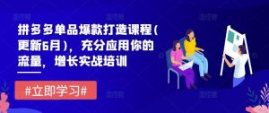 拼多多单品爆款打造课程(更新6月),充分应用你的流量,增长实战培训-聊项目