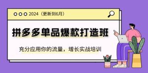 (11556期)2024拼多多-单品爆款打造班(更新6月),充分应用你的流量,增长实战培训-聊项目