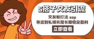 某收费888-S搭子交友引流,交友粉打法 sop,导流到私域实现长期稳定盈利-聊项目