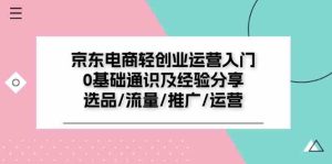 京东电商轻创业运营入门0基础通识及经验分享:选品/流量/推广/运营-聊项目