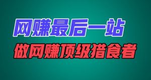 网赚最后一站,卖项目,做网赚顶级猎食者-聊项目