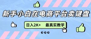 (11610期)新手小白在电商平台卖键盘,日入2K+最真实教学-聊项目