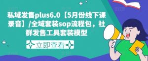 私域发售plus6.0【5月份线下课录音】/全域套装sop流程包,社群发售工具套装模型-聊项目