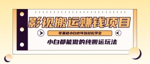 手把手教你操作影视搬运项目,小白都能做零基础也能赚钱-聊项目