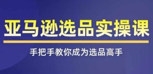 亚马逊选品实操课程,快速掌握亚马逊选品的技巧,覆盖亚马逊选品所有渠道-聊项目