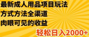 最新成人用品项目玩法,方式方法全渠道,轻松日入2K+【揭秘】-聊项目