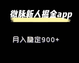 最新微脉长久项目,拉新掘金,月入稳定900+-聊项目