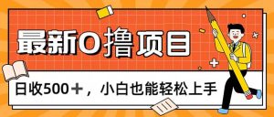 (11657期)0撸项目,每日正常玩手机,日收500+,小白也能轻松上手-聊项目