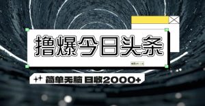 (11665期)撸爆今日头条 简单无脑操作 日收2000+-聊项目
