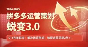 2024-2025拼多多运营策略蜕变3.0,0~1完美蜕变,解决信息焦虑-聊项目