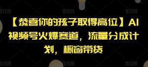 【恭喜你的孩子取得高位】AI视频号火爆赛道,流量分成计划,橱窗带货【揭秘】-聊项目