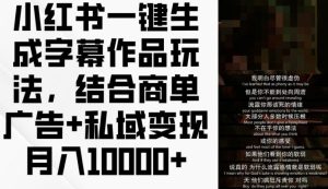小红书一键生成字幕作品玩法,结合商单广告+私域变现月入1w+【揭秘】-聊项目