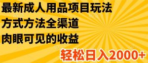 最新成人用品项目玩法,方式方法全渠道,肉眼可见的收益,轻松日入2000+-聊项目