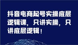 抖音电商起号实操底层逻辑课,只讲实操,只讲底层逻辑!(7节)-聊项目