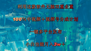 (11710期)利用这款软件无脑双重去重 100%中视频+视频号分成计划 小白也能月入3w+-聊项目