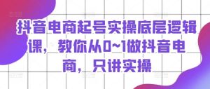 抖音电商起号实操底层逻辑课,教你从0~1做抖音电商,只讲实操-聊项目