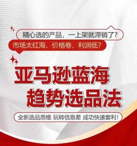 亚马逊蓝海趋势选法,全新选品思维,玩转信息差-聊项目