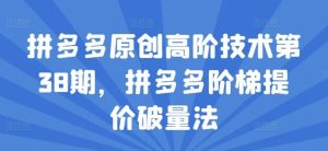 拼多多原创高阶技术第38期,拼多多阶梯提价破量法-聊项目