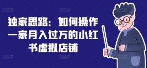 独家思路:如何操作一家月入过万的小红书虚拟店铺-聊项目