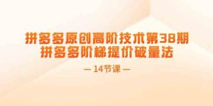拼多多原创高阶技术第38期,拼多多阶梯提价破量法(14节课)-聊项目