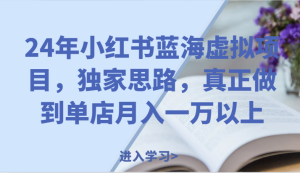 24年小红书蓝海虚拟项目,独家思路,真正做到单店月入一万以上。-聊项目