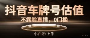 抖音车牌号估值,不露脸直播,0门槛,小白秒上手【揭秘】-聊项目