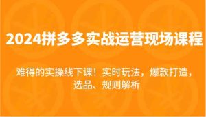 2024拼多多实战运营现场课,实时玩法,爆款打造,选品、规则解析,难得的实操线下课!-聊项目