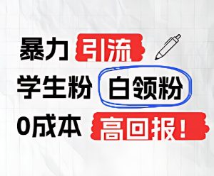 暴力引流学生粉白领粉,吊打以往垃圾玩法,0成本,高回报-聊项目