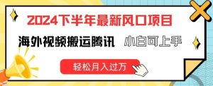 2024下半年最新风口项自,海外视频搬运腾讯,小白可上手,轻松月入过万【揭秘】-聊项目