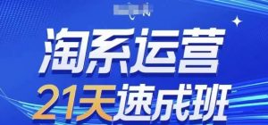 淘系运营21天速成班(更新24年7月),0基础轻松搞定淘系运营,不做假把式-聊项目