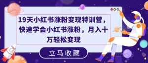 19天小红书涨粉变现特训营,快速学会小红书涨粉,月入十万轻松变现-聊项目