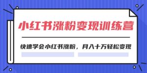 2024小红书19天涨粉变现特训营,快速学会小红书涨粉,月入十万轻松变现(42节)-聊项目