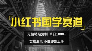 小红书国学赛道,无脑粘贴复制,单日1K,实操演示,小白即刻上手【揭秘】-聊项目