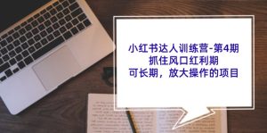 (11837期)小红书达人训练营-第4期:抓住风口红利期,可长期,放大操作的项目-聊项目