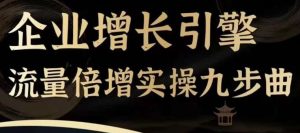 企业增长引擎流量倍增实操九步曲,一套课程帮你找到快速、简单、有效、可复制的获客+变现方式,-聊项目