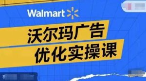 沃尔玛广告优化实操课,广告报告实操讲解,广告如何提高转化和ROAS等-聊项目