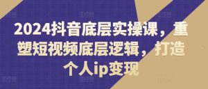 2024抖音底层实操课,重塑短视频底层逻辑,打造个人ip变现-聊项目