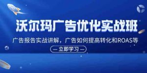 沃尔玛广告优化实战班,广告报告实战讲解,广告如何提高转化和ROAS等-聊项目