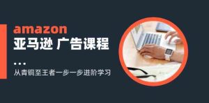 amazon亚马逊广告课程:从青铜至王者一步一步进阶学习(16节)-聊项目