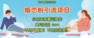 小红书婚恋粉引流,不用开直播,不用拍视频,不用做交付【揭秘】-聊项目
