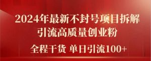 2024年最新不封号项目拆解引流高质量创业粉,全程干货单日轻松引流100+【揭秘】-聊项目