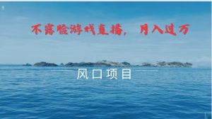不露脸不出镜,玩转找茬游戏,普通人实现月入过万的好项目-聊项目
