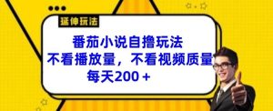 番茄小说自撸玩法,不看播放量,不看视频质量,每天200+【揭秘】-聊项目