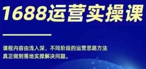 1688实操运营课,零基础学会1688实操运营,电商年入百万不是梦-聊项目