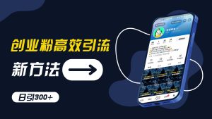 创业粉高效引流,抖音工具号玩法,日引300+,不要成为学习高手,要成为实战高手【揭秘】-聊项目
