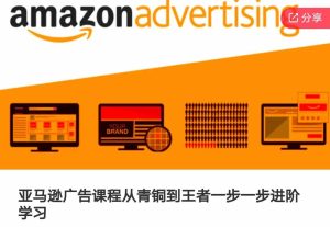亚马逊广告课程,从青铜到王者一步一步进阶学习-聊项目