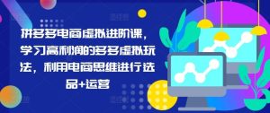拼多多电商虚拟进阶课,学习高利润的多多虚拟玩法,利用电商思维进行选品+运营-聊项目